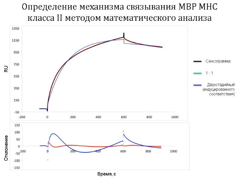 Определение механизма связывания MBP MHC класса II методом математического анализа Сенсограмма 1 : 1